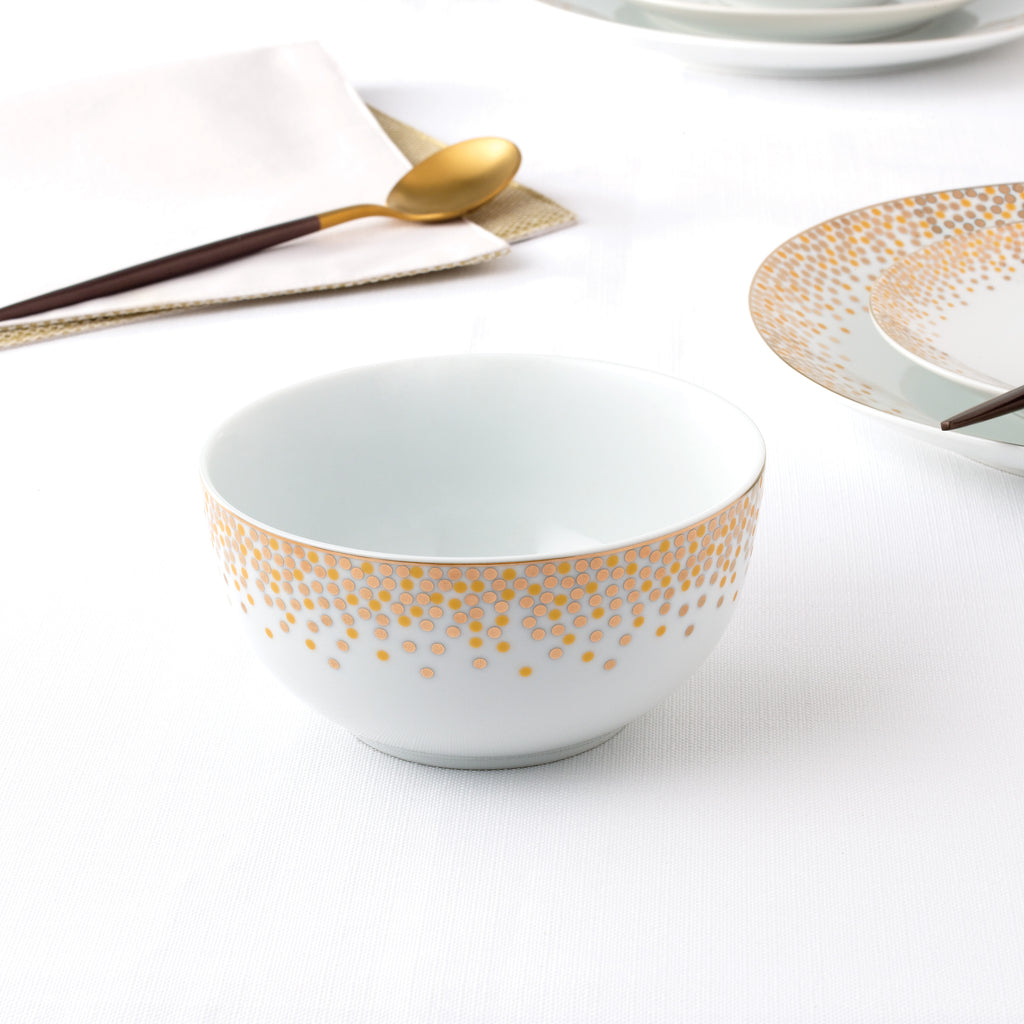 Waterside 12pc GOLD Sparkle Porcelain Dinnerware Set (video attached)