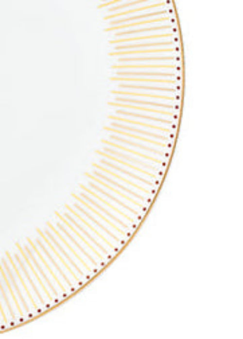 Waterside 12pc GOLD Radiance Porcelain Dinnerware Set (video included)