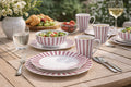 Waterside Pink Stripe Porcelain Dinner Set 16 Piece